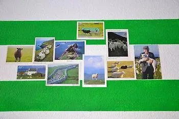 Black Sheep * Kolín nad Rýnem