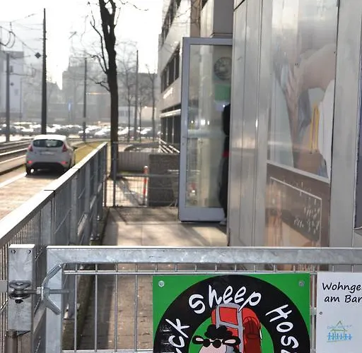 Black Sheep * Kolonia