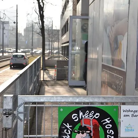 Black Sheep * كولونيا